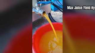 Potente exprimidor hidráulico para uso comercial