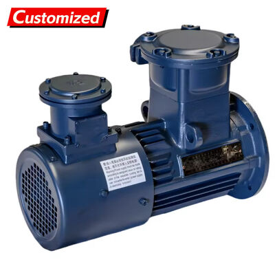 Un buen precio. Motor asíncrono trifásico a prueba de llamas de 5,5 ~ 11 kW 750 rpm con accionamiento de frecuencia variable para aplicaciones industriales en línea