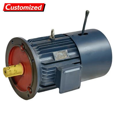 Un buen precio. Motor de accionamiento de frecuencia variable a prueba de explosiones con función de frenado y protección IP55 para aplicaciones industriales en línea