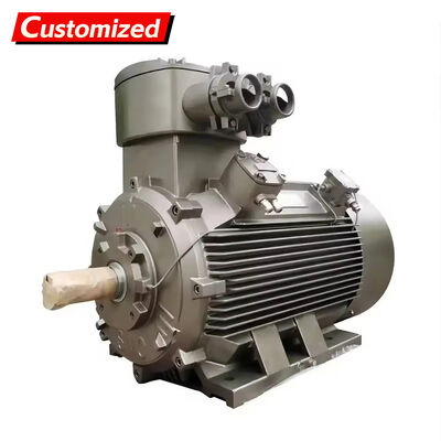 Un buen precio. Motor asíncrono trifásico a prueba de explosiones hecho a medida con frecuencia de 50 Hz y potencia de 22 KW para aplicaciones industriales en línea